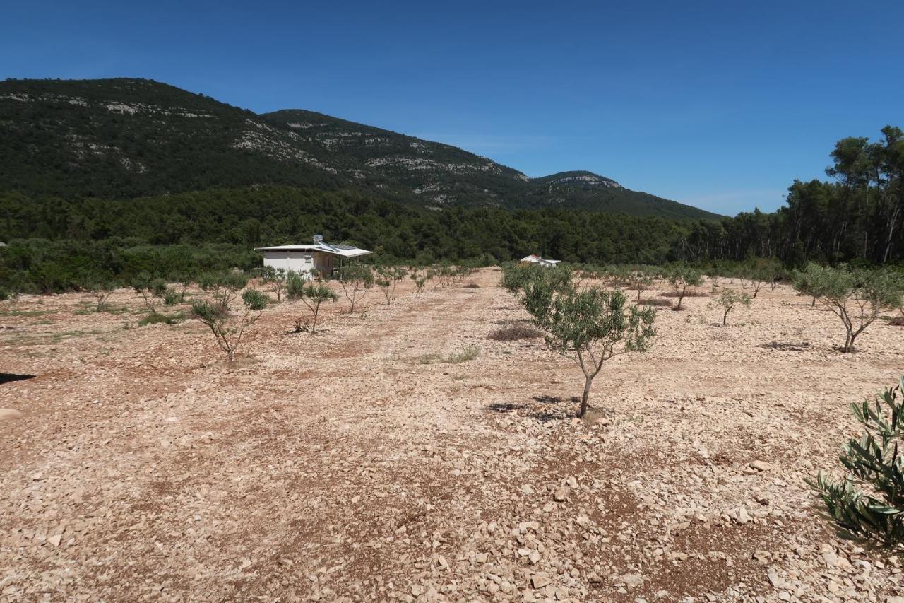 Robinson Olive Tree Huts Villa Čara Екстериор снимка